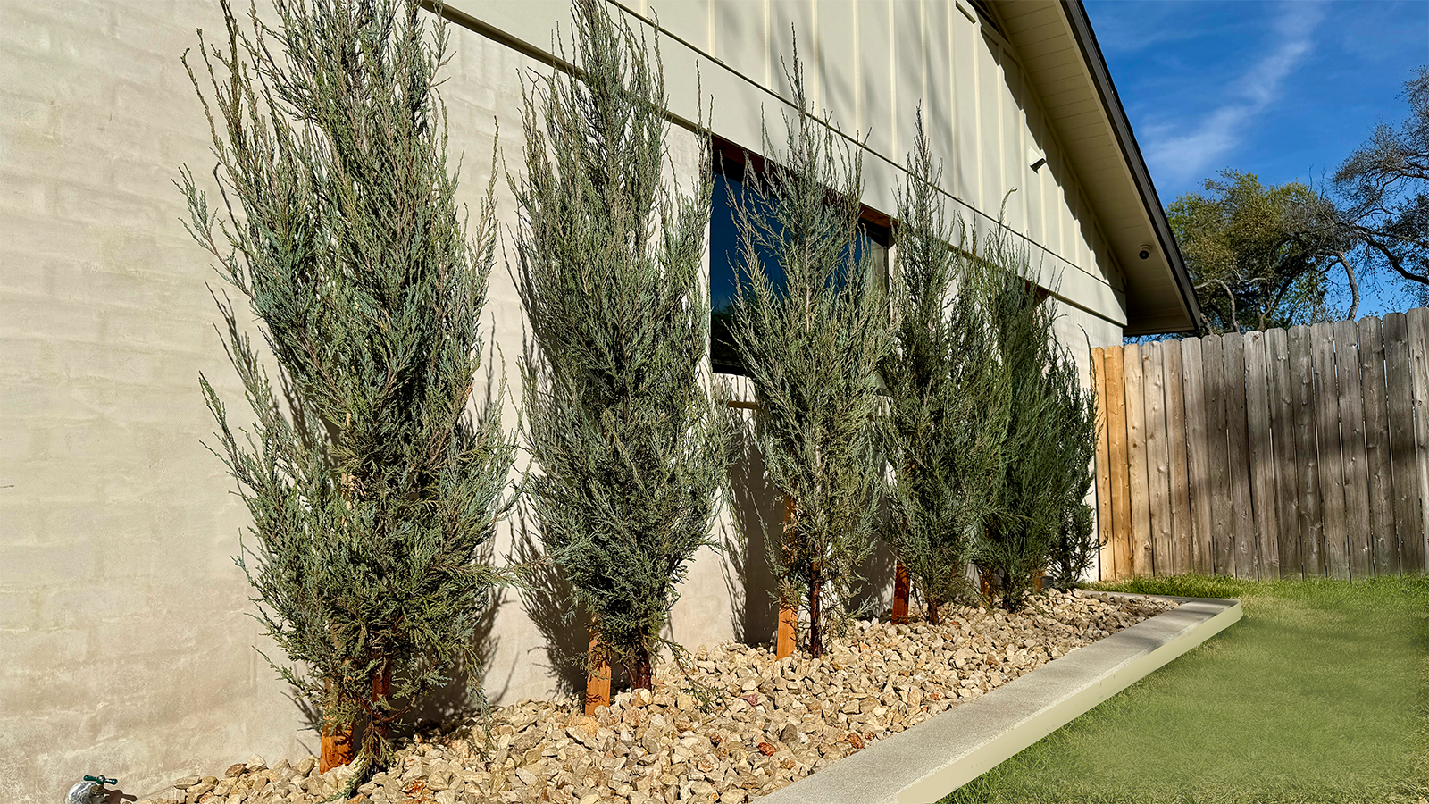 Tree Installation example