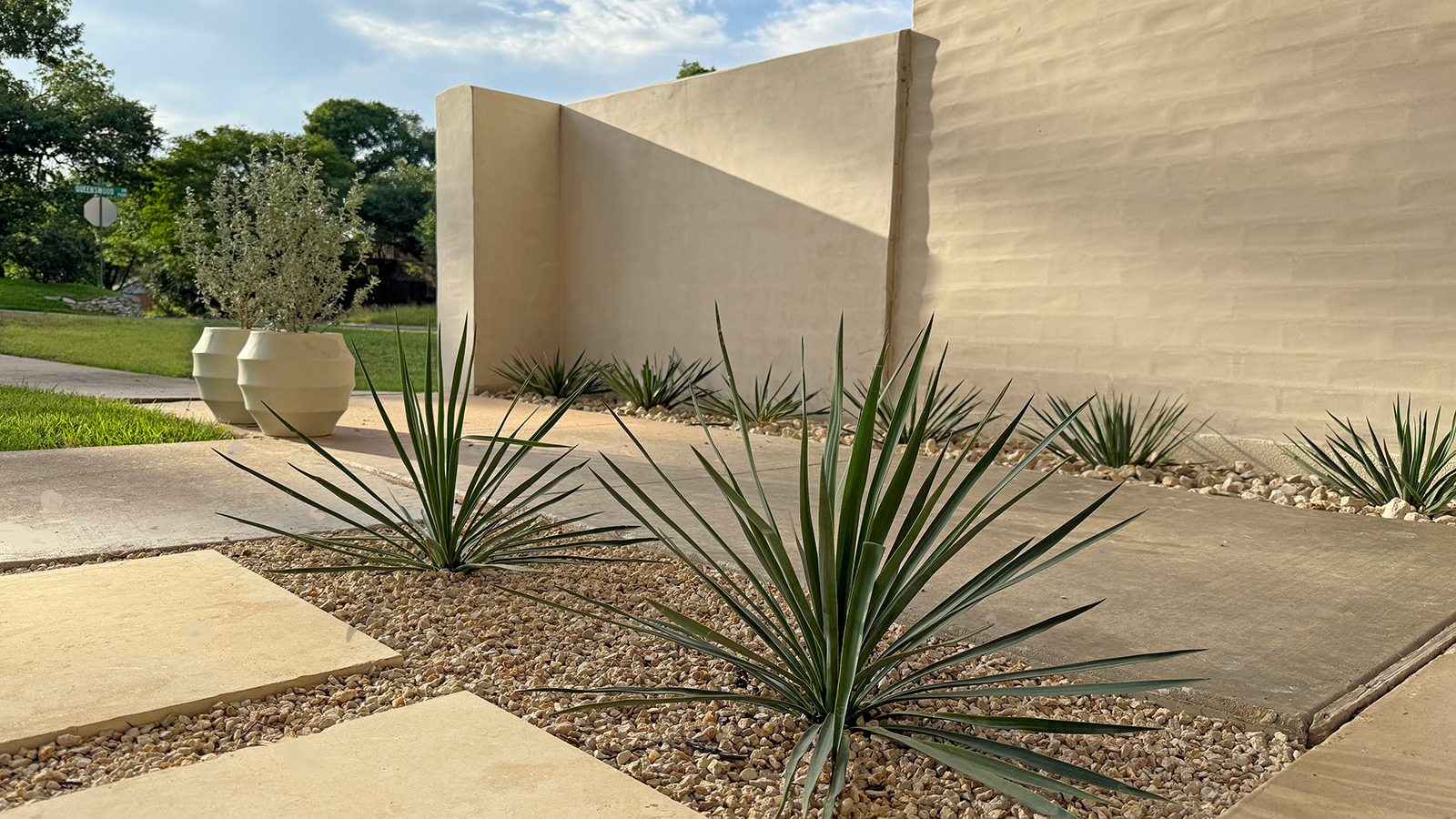 Native Shrubs example
