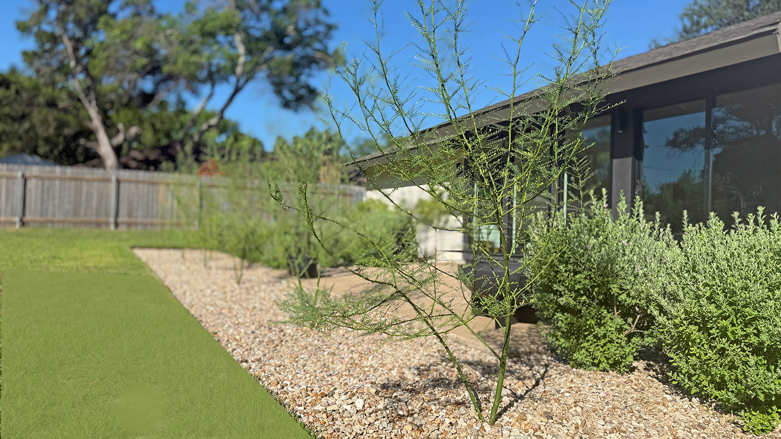 Xeriscaping example