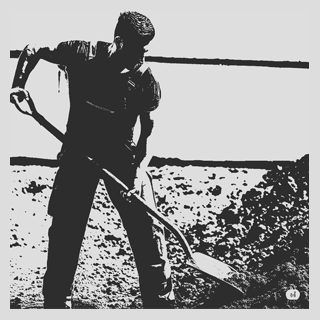 Xeriscaping Service